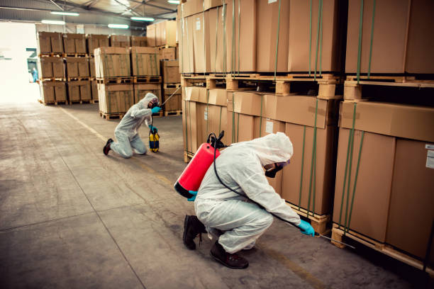 Best Flea Control Services  in Dooms, VA