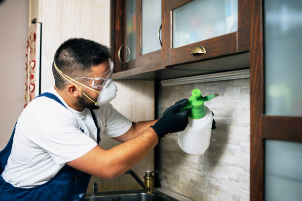 Best Affordable Pest Control Services  in Dooms, VA