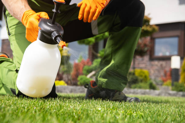 Best Pest Control for Homes  in Dooms, VA