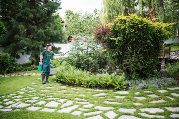 Best Pest Control Cost  in Dooms, VA