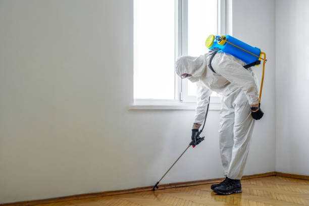 Pest Prevention Services in Dooms, VA
