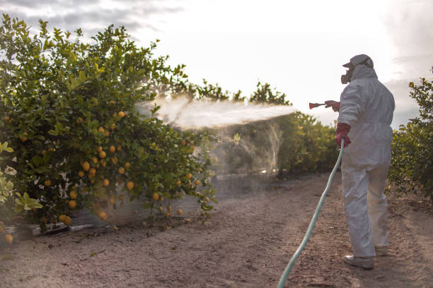 Best Best Pest Control Companies  in Dooms, VA