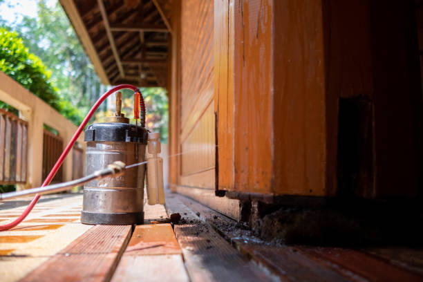 Best Pest Removal Services  in Dooms, VA