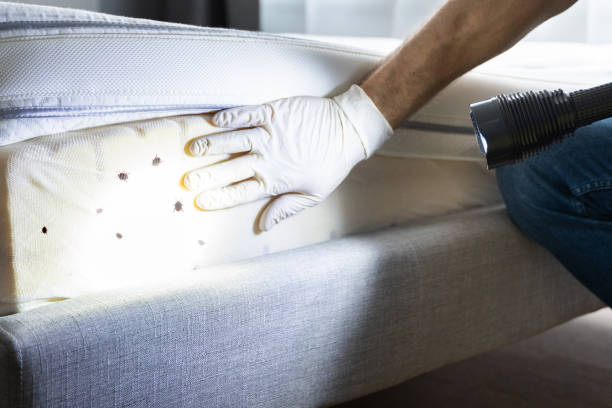 Best Pest Control Near Me  in Dooms, VA