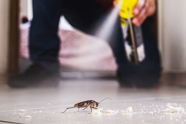 Best Wildlife Control Services  in Dooms, VA