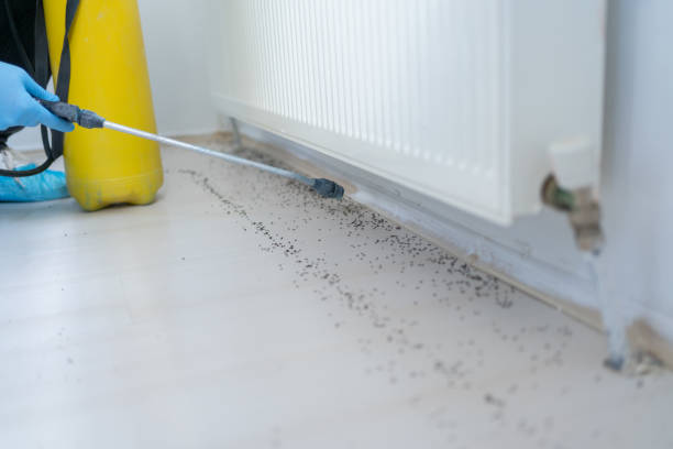 Professional Pest Control in Dooms, VA